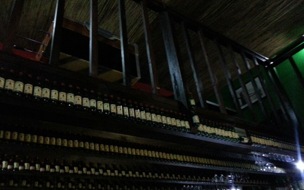 Coruba