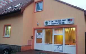 Ivet