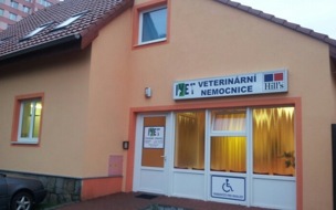 Ivet