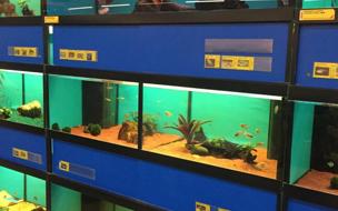 Pet Center