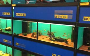 Pet Center
