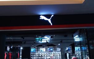 Puma