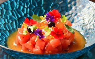 Sabores Tapas & Vinos