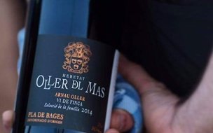 Sabores Tapas & Vinos