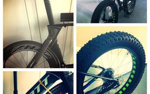 Scott sport