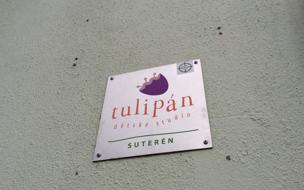 Tulipán
