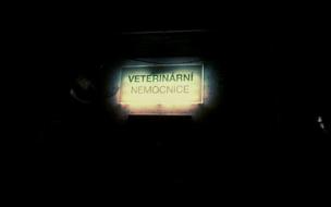 Vetnemo