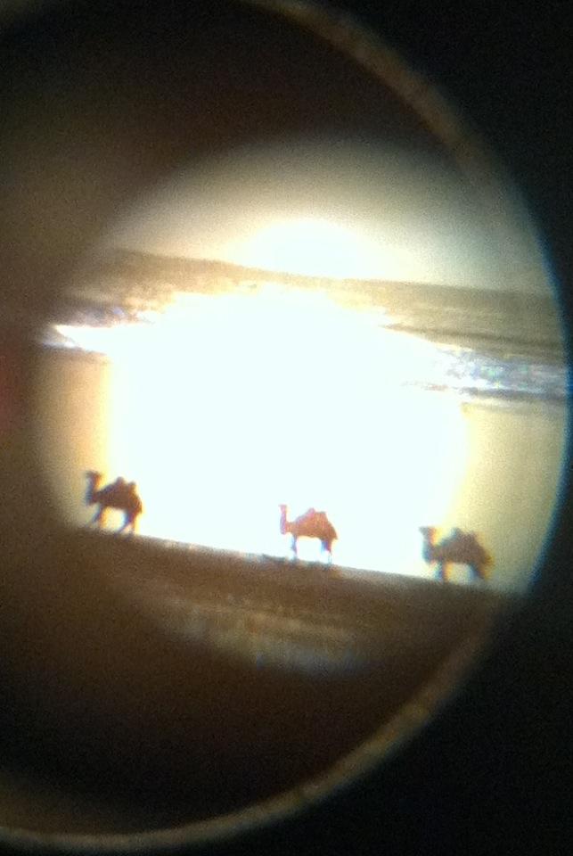 Muzeum Miniatur Muzeum Miniatur