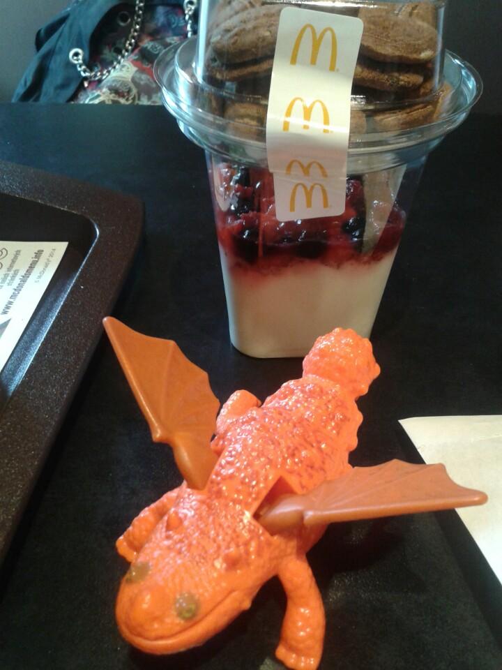 Síť restaurací rychlého občerstvení McDonald´s Síť restaurací rychlého občerstvení McDonald´s