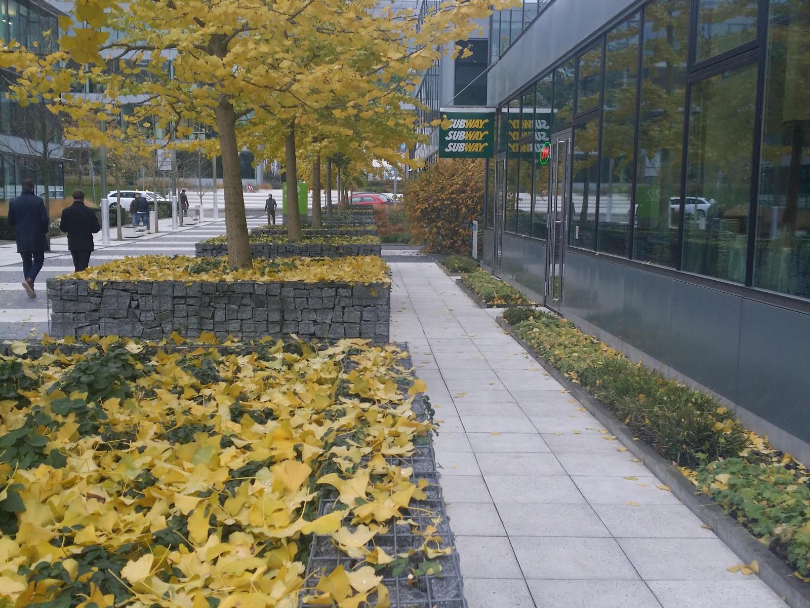 Síť restaurací rychlého občerstvení Subway Síť restaurací rychlého občerstvení Subway