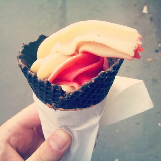 Síť cukráren OVOCNÝ SVĚTOZOR Síť cukráren OVOCNÝ SVĚTOZOR