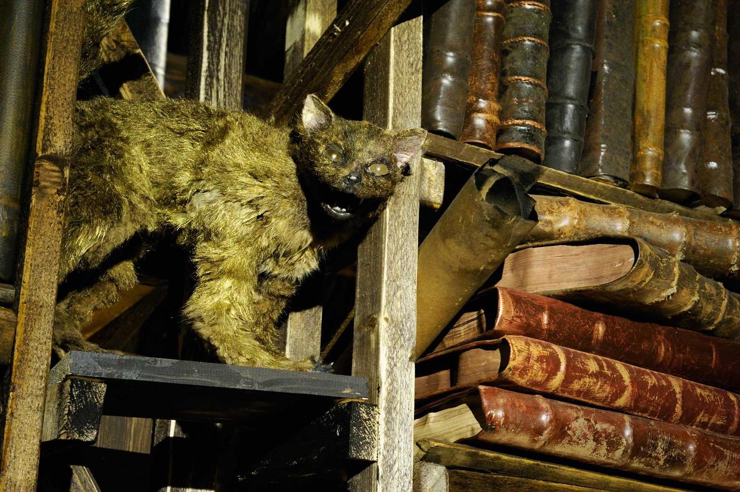 Muzeum alchymistů a mágů staré Prahy Muzeum alchymistů a mágů staré Prahy