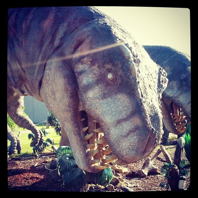 Zábavní park DinoPark Zábavní park DinoPark