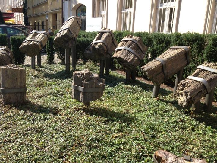 Muzeum minerálů a fosilií Geosvět Muzeum minerálů a fosilií Geosvět
