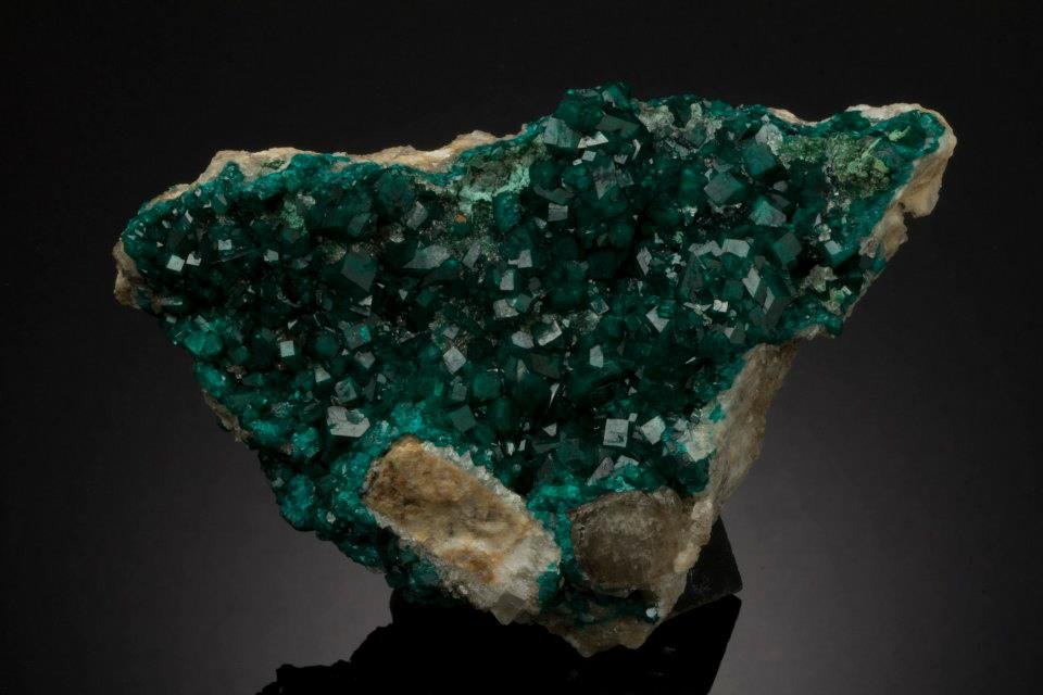 Muzeum minerálů a fosilií Geosvět Muzeum minerálů a fosilií Geosvět