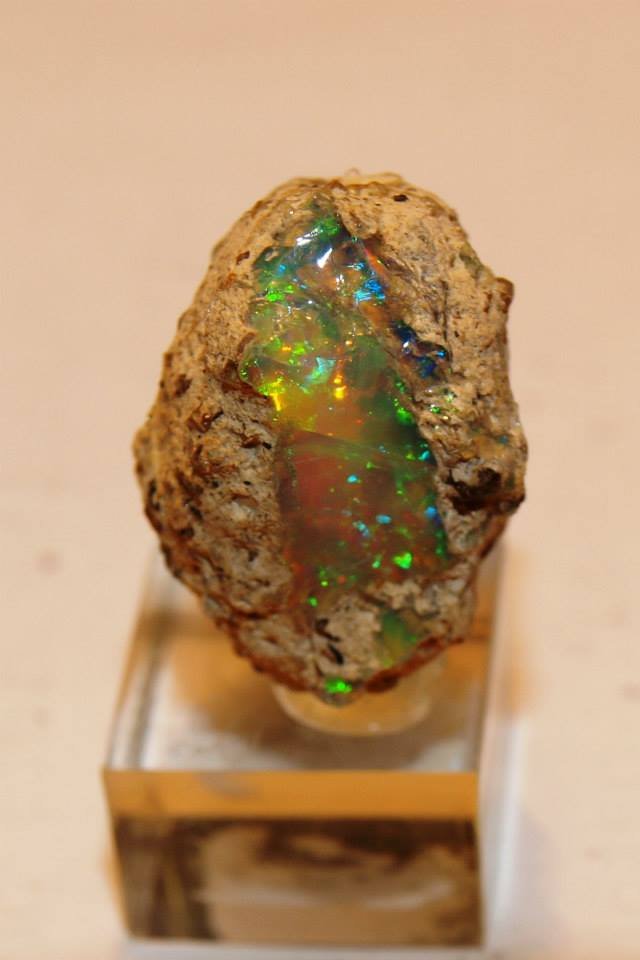 Muzeum minerálů a fosilií Geosvět Muzeum minerálů a fosilií Geosvět