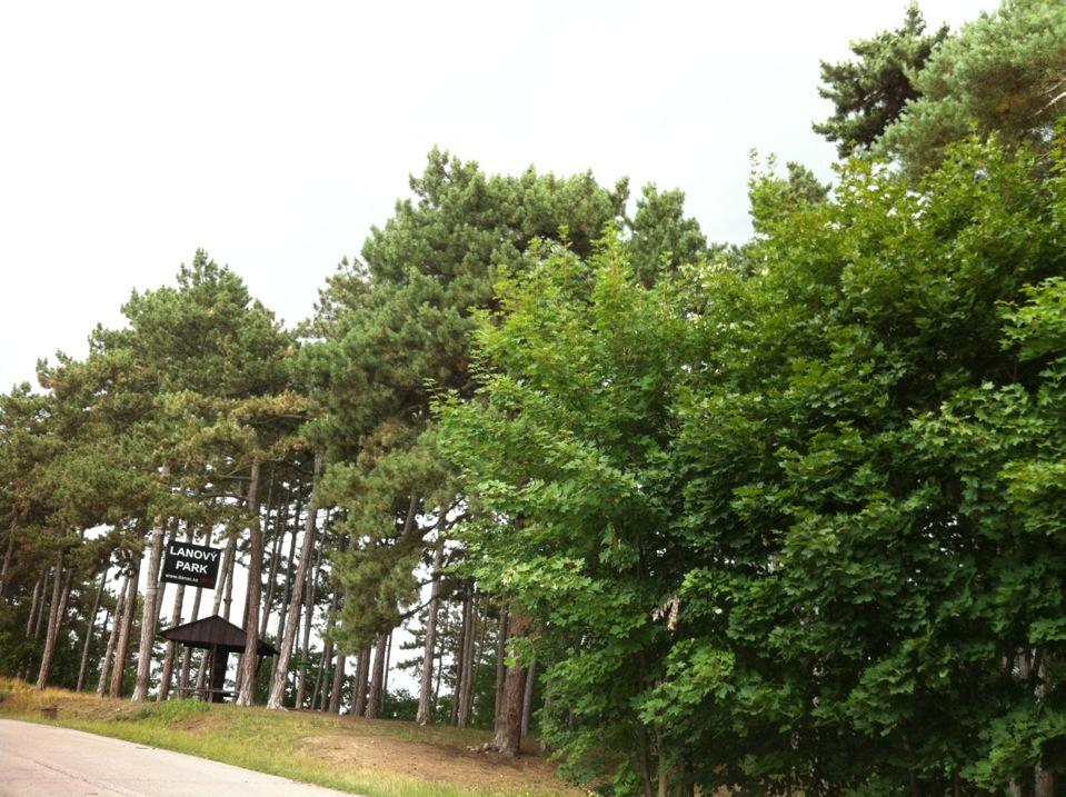 Lanový park Hostivař Lanový park Hostivař