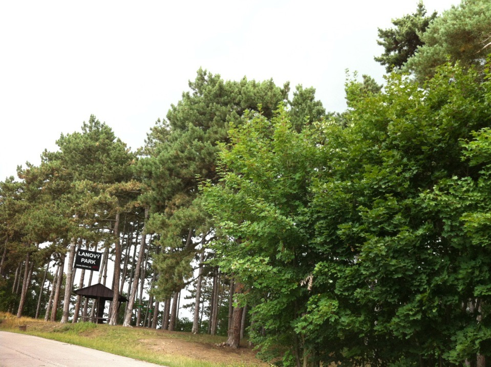 Lanový park Hostivař Lanový park Hostivař