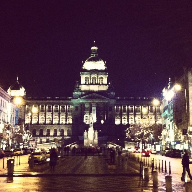 Národní muzeum Národní muzeum