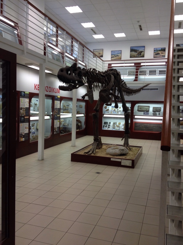 Chlupáčovo muzeum historie Země Chlupáčovo muzeum historie Země